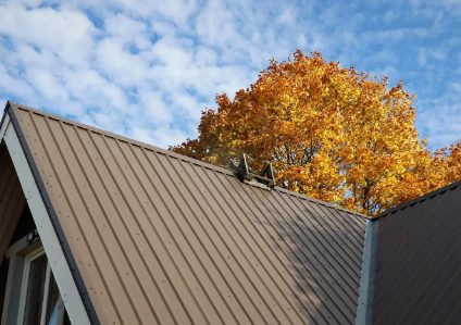 Burnished slate metal roof