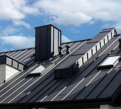 Black standing-seam roof with skylights
